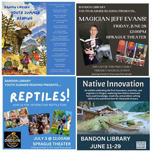 library event fliers
